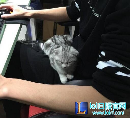 LOL女粉丝告白Korol:喜欢因为他是童扬