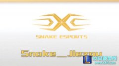 这是我珍贵的回忆！snake辅助节奏退役,lol日服