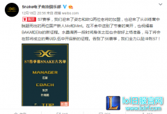 辅助一人养三个娃 snake官宣战队名单,lol日服
