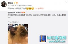 又一对情侣诞生？网友疑似泽元和余霜相恋！,lol日服