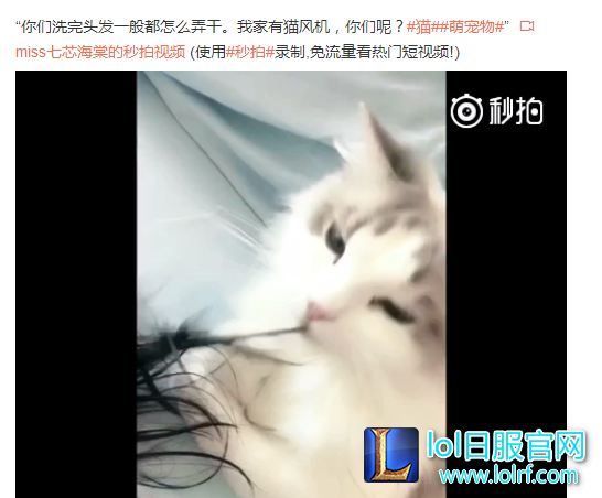 YY截图20170411152453.png
