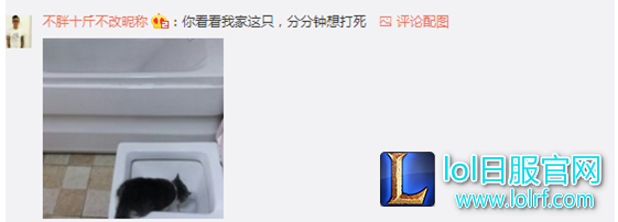 YY截图20170411152535.png