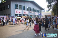 火影忍者校园祭：武汉皓月、重庆尹维嵩夺冠,lol日服