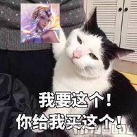 2017073011181566748.jpg